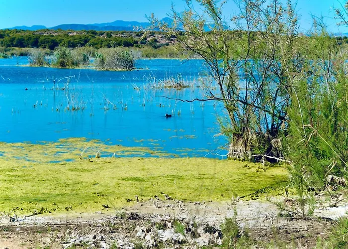 Refugio De Tranquilidad En בית נופש גראן אלקנט
